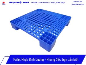 Pallet nhựa Bình Dương